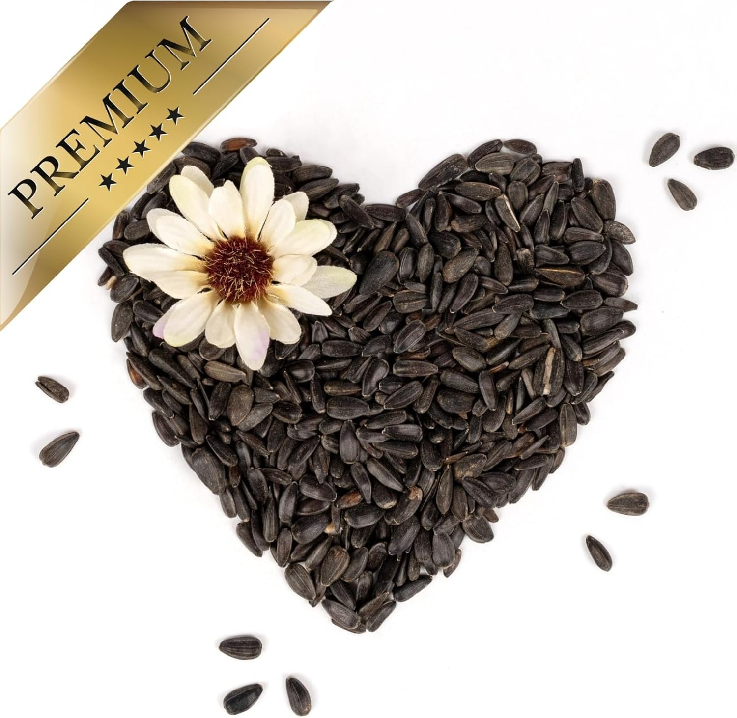 1772306036 71Keb0hqxaL. AC SL1500 .jpg