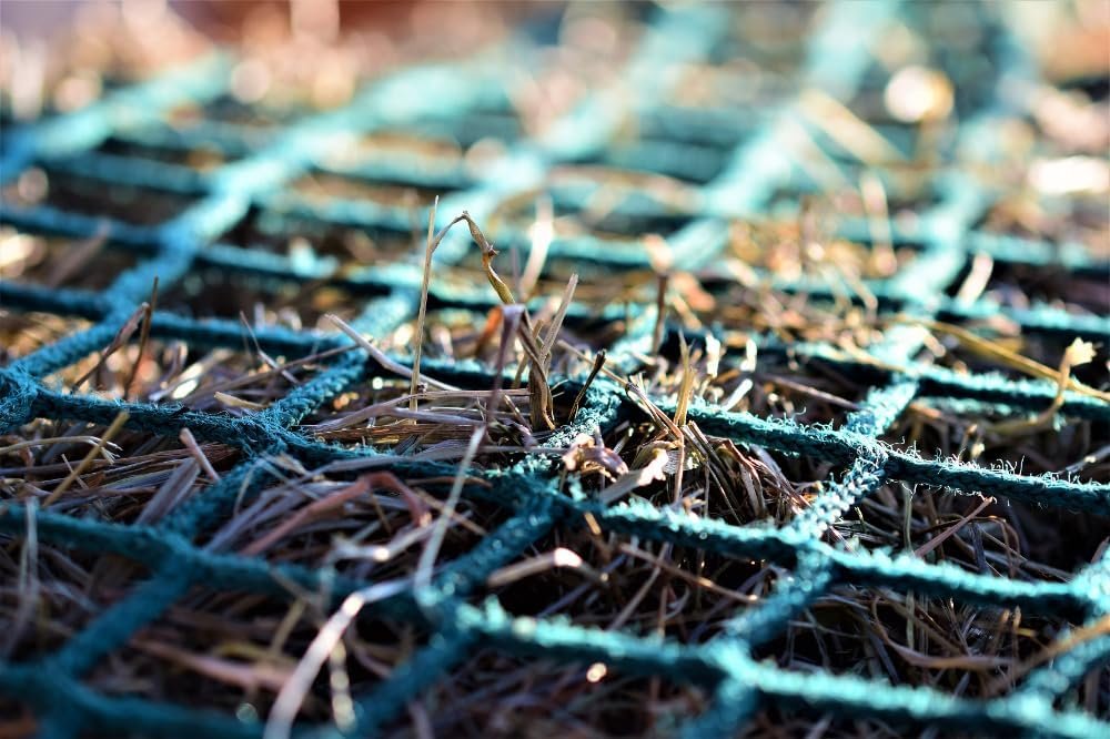 1772310158 6170s0UPgeL. AC SL1000 .jpg