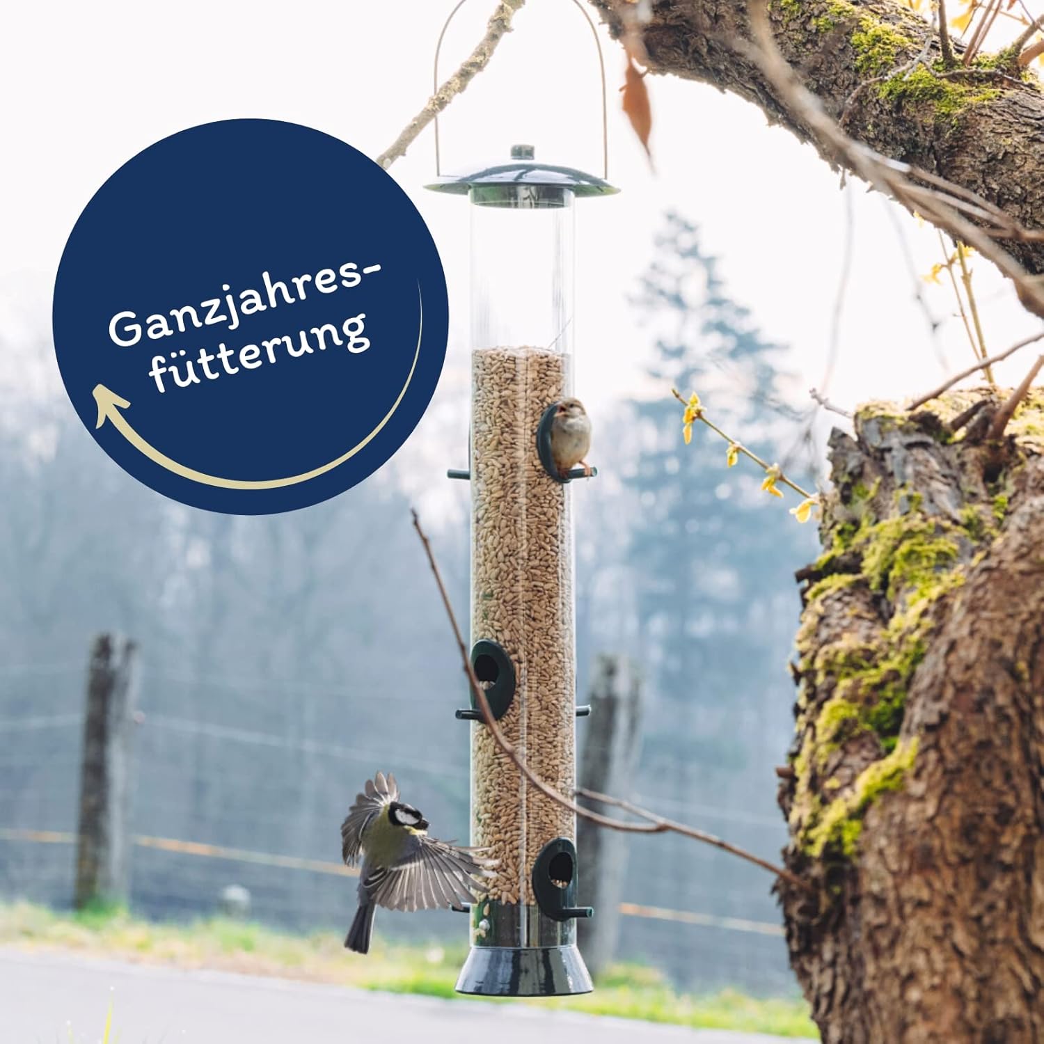 1772313344 71h45mKk6ZL. AC SL1500 .jpg