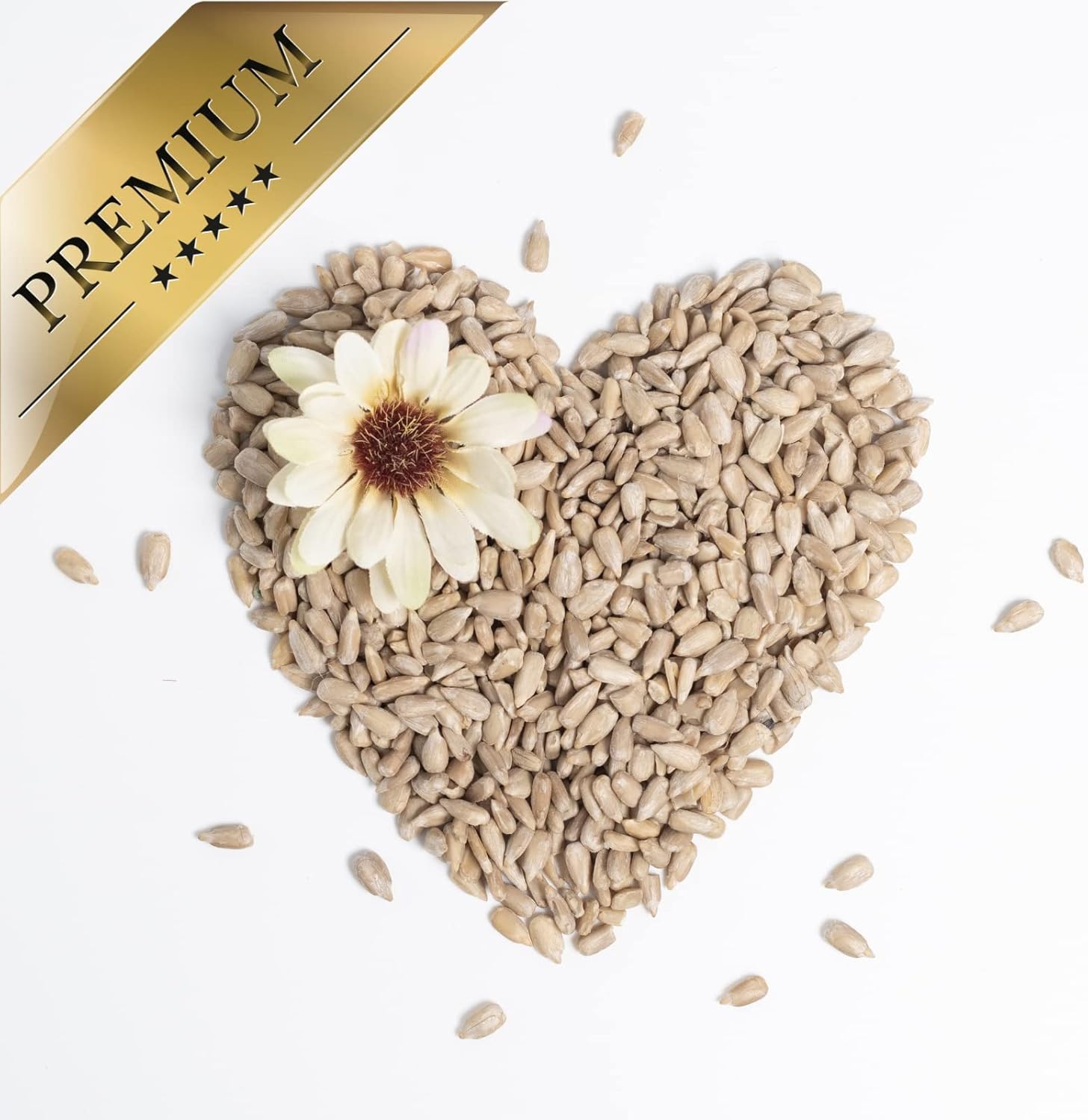 1772313348 71kAgzN1T8L. AC SL1500 .jpg