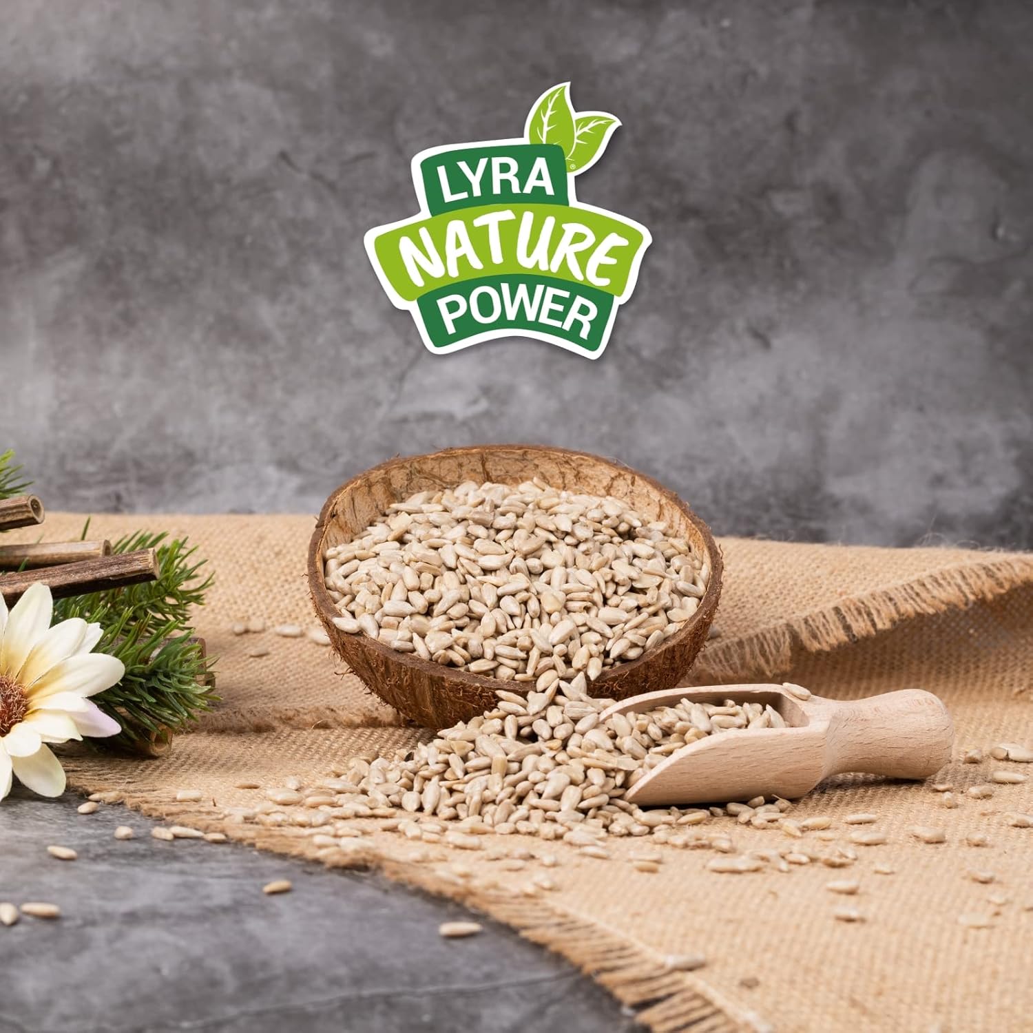 1772313350 71ogzLUhLeL. AC SL1500 .jpg