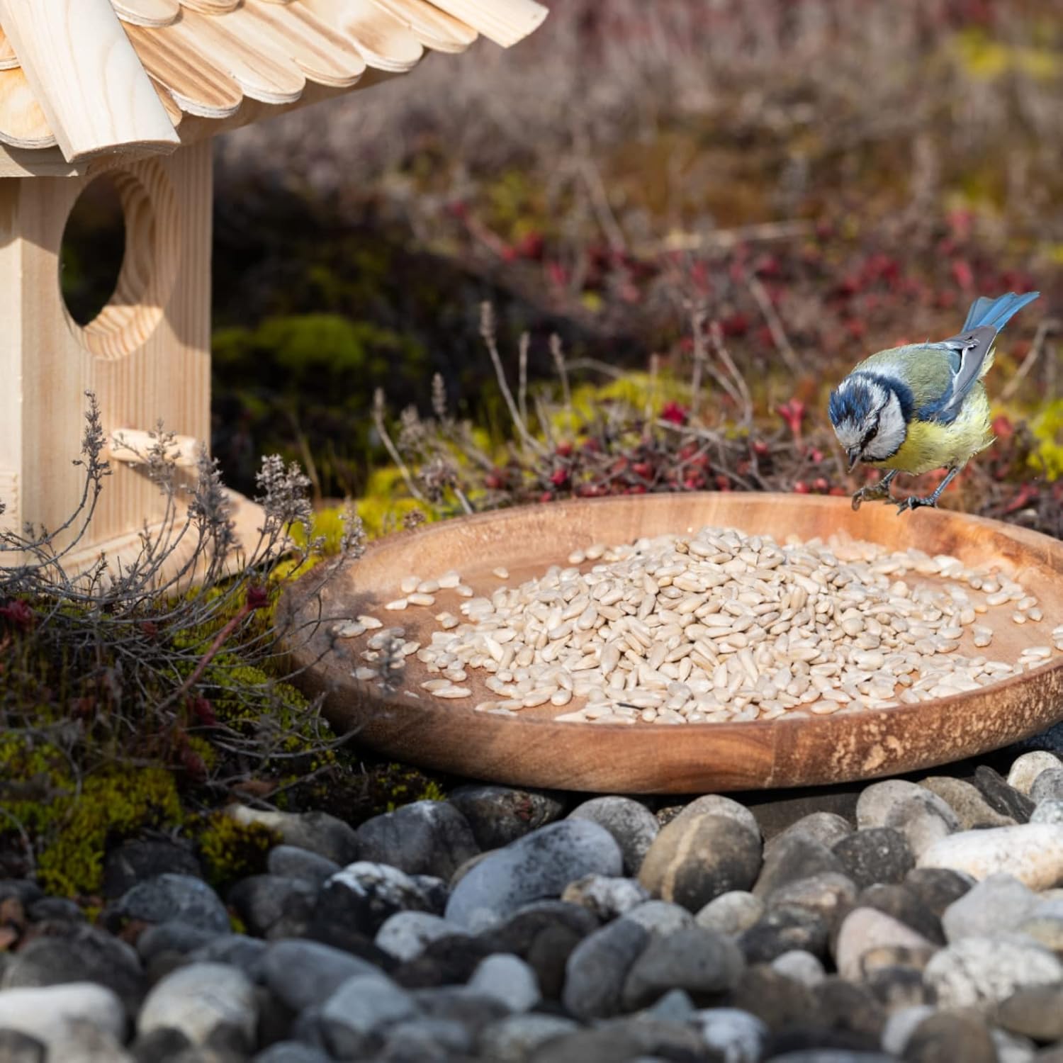 1772313352 7117HEAPgBL. AC SL1500 .jpg