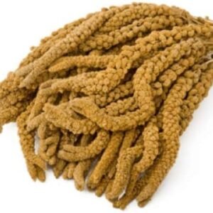 1772317314 41sbplUk0UL. AC .jpg