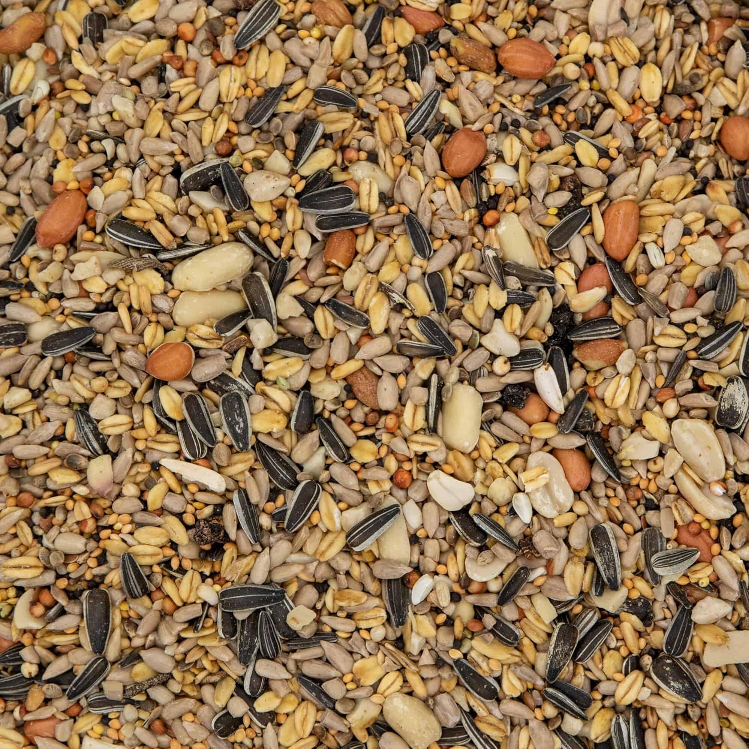 1772320675 81jbuPz92nL. AC SL1500 .jpg