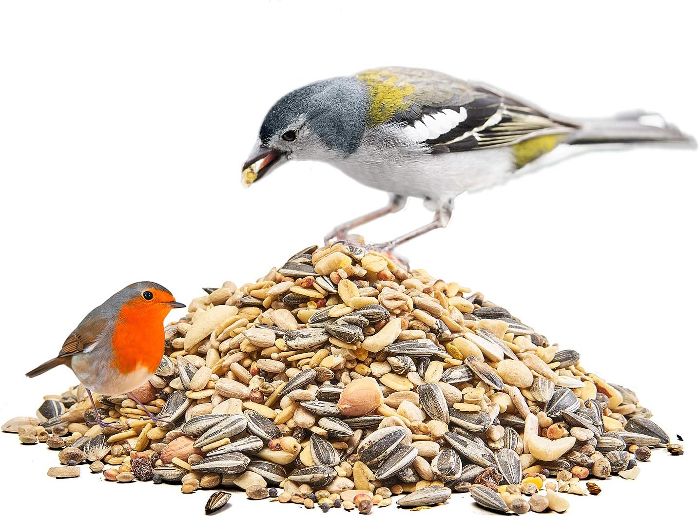 1772320679 81pbk94LB0L. AC SL1500 .jpg