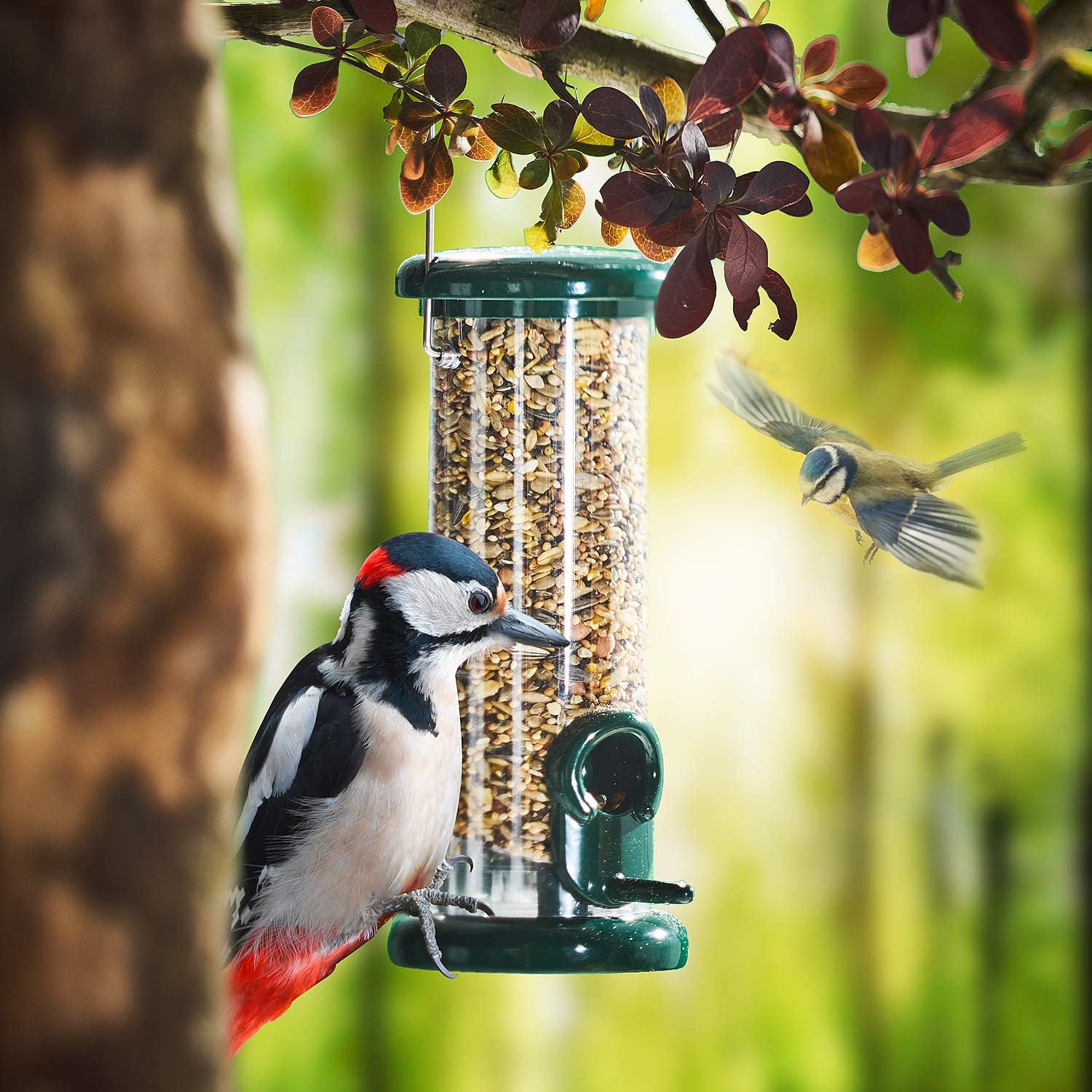 1772320680 81Ig9dsv07L. AC SL1500 .jpg