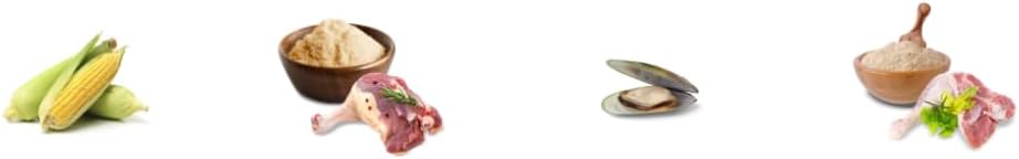 3109rUebUqL. AC SL1200 .jpg