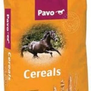 31DJI Hu3sL. AC .jpg