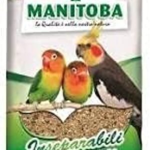 31ZJtiQeEMS. AC .jpg