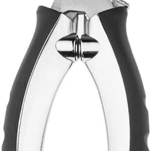 31gvdsGaRsL. AC .jpg