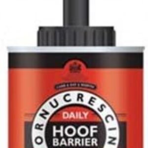 31qTx0pVNBL. AC .jpg