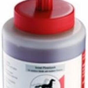 31t OwgFf5L. AC .jpg