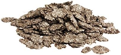 4170XfVS1fL. AC .jpg