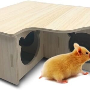 41BVV7HwqbL. AC SL1000 .jpg