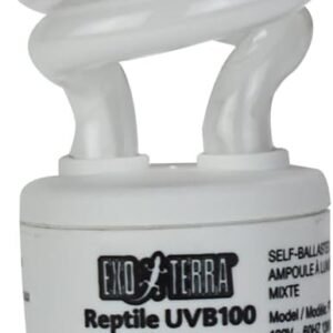 41DDIi8lCpL. AC SL1000 .jpg