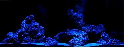 41Hy3SaYcZL. AC .jpg