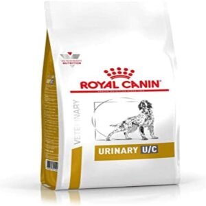 41JhuIjDS3L. AC SL1200 .jpg