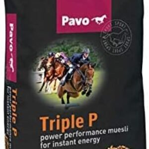 41O4XD48IHL. AC .jpg