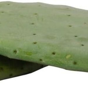 41OfcBDAzFL. AC SL1000 .jpg