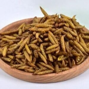 41RPgYCThYL. AC .jpg