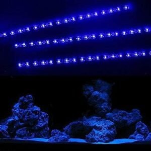 41aBxpBrlVL. AC .jpg