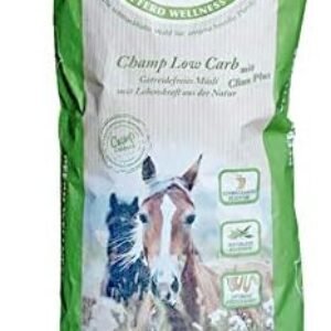 41eCmODcB2L. AC .jpg