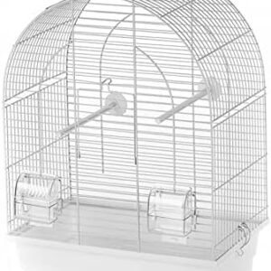 41gXwcZJT L. AC .jpg