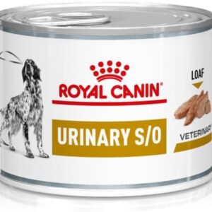 41hxY1EGXkL. AC SL1000 .jpg