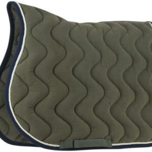 41jpJneGyiL. AC SL1080 .jpg