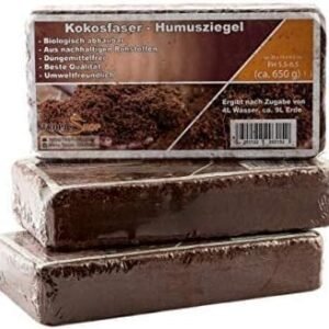 41ljidx6vpL. AC .jpg