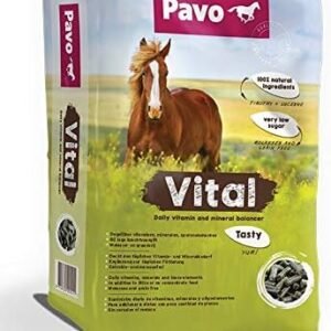 41q2uj498EL. AC .jpg