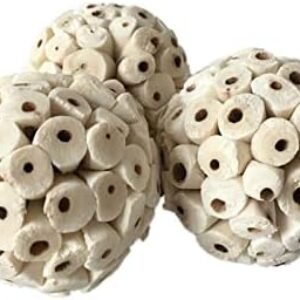 41ttrVcA7XL. AC .jpg