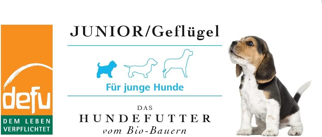 51EbQTS14L. AC SL1095 .jpg