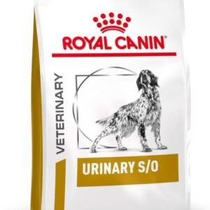 51 nA87CXbL. AC SL1000 .jpg