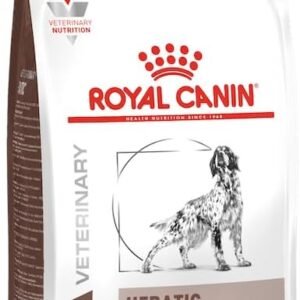 511KMOjJfL. AC SL1500 .jpg