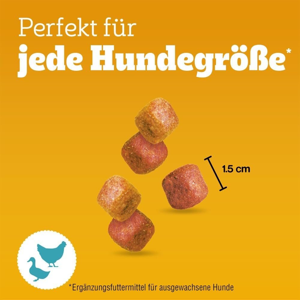 513f53FCANL. AC SL1000 .jpg