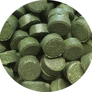 513lQBkUr0L. AC .jpg