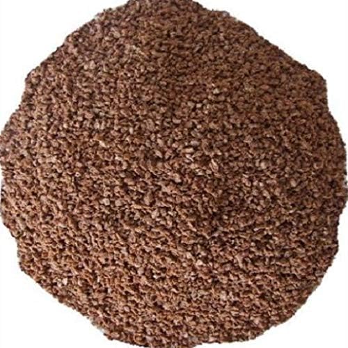 514OXTStnrL. AC .jpg