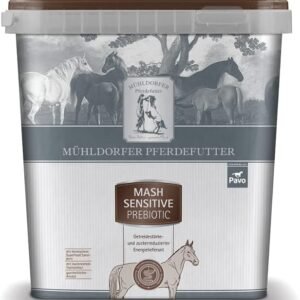 515IcBXw1gL. AC SL1000 .jpg