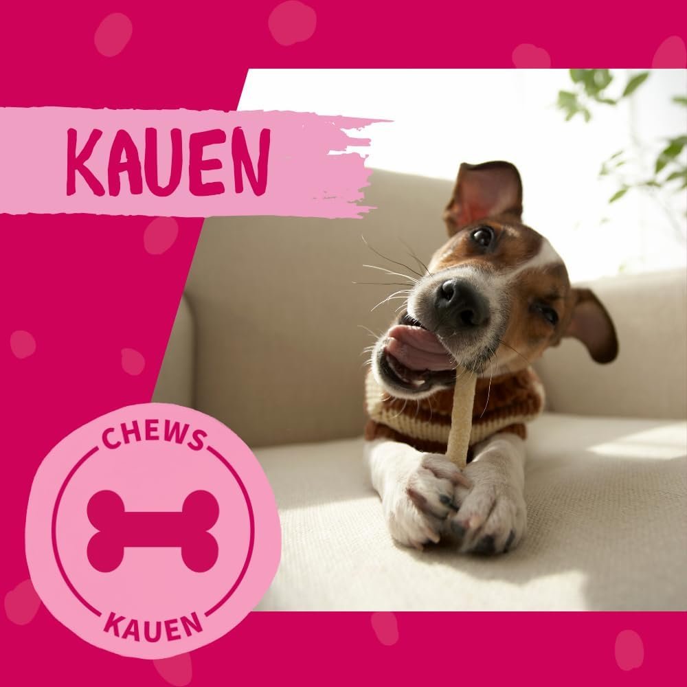 515qGBDaxhL. AC SL1000 .jpg