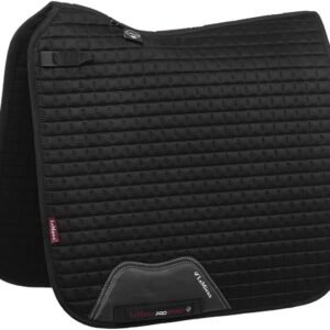 517BJMaJ1aL. AC SL1280 .jpg