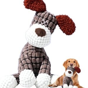 517rKabLCuL. AC SL1000 .jpg