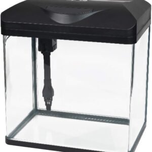 519ZAocIy0L. AC SL1000 .jpg