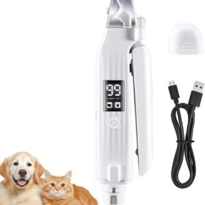 51AIK7rFlNL. AC SL1000 .jpg