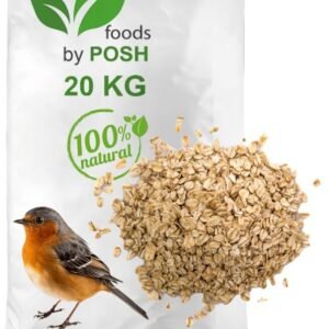 51Ax6U6xuSL. AC SL1080 .jpg