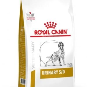 51B4mNXg9aL. AC SL1000 .jpg