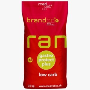 51BjZgu4uL. AC SL1000 .jpg