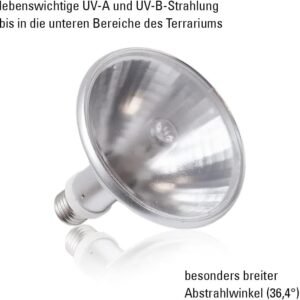 51C67dW2cnL. AC SL1000 .jpg