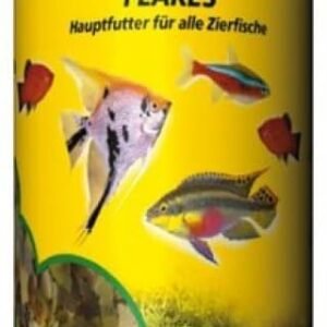 51CwRr9jFaL. AC .jpg