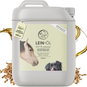 51D4kvVVsAL. AC SL1000 .jpg